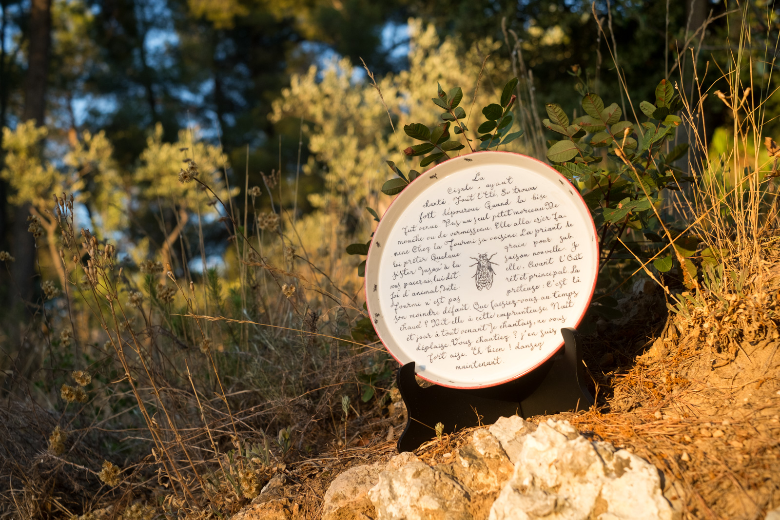 “La Cigale et la Fourmi” pie dish by Le Hibou Philosophe with additional drawings by messalyn, set in the provencal landcape.