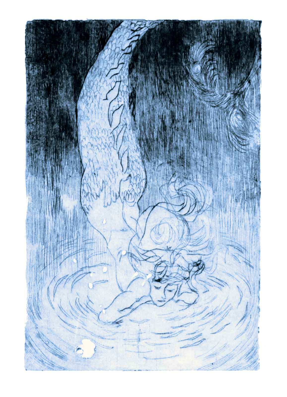 A mermaid is hovering above the under-surface of the ocean.