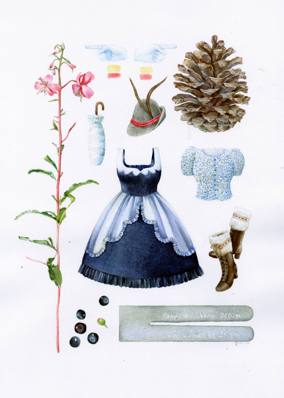 Technical illustration of a herbarium made up with fashionable lolita clothing and an alpine theme : a giant pine cone, blueberries and a blueberry print in a shirt, an austria felt hat and a pink mountain flower.