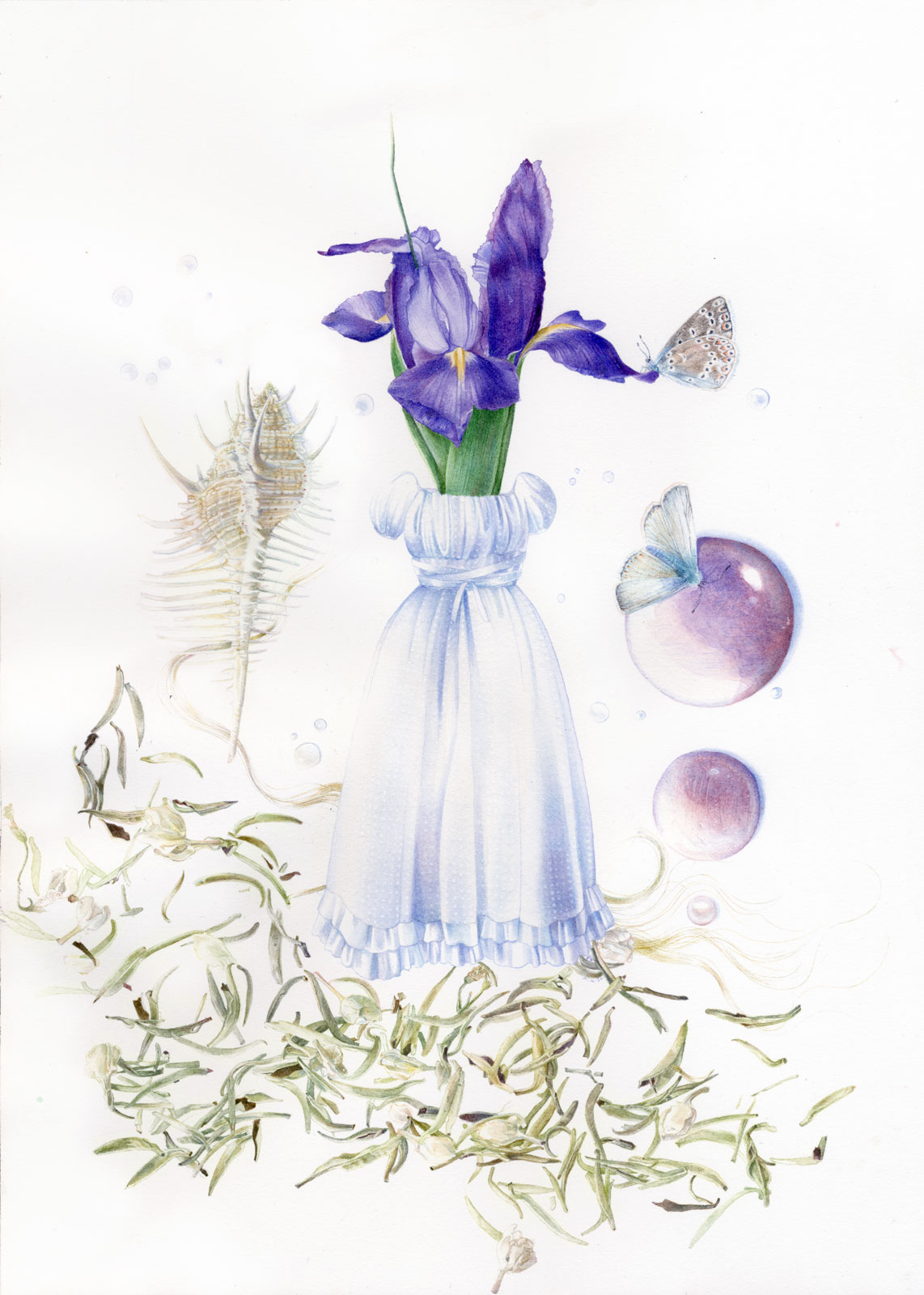 Collaborative technical illustration of a herbarium made up with fashionable lolita clothing from Moi-Même-Moitié, and inspiration drawn from Hana-Rebecca such as tea leaves, a murex, an iris, butterflies often seen near rivers, and quartz stones.