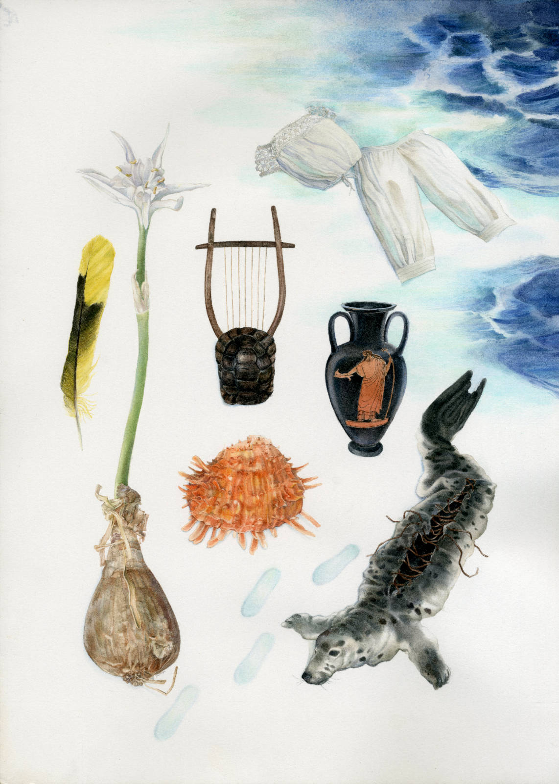 Technical illustration of a herbarium made up with fashionable lolita clothing bordering on edwardian clothing, and an agean sea theme : a shell, a sea daffodil, a greek lyra, a greek vase and a feather collected at Serifos