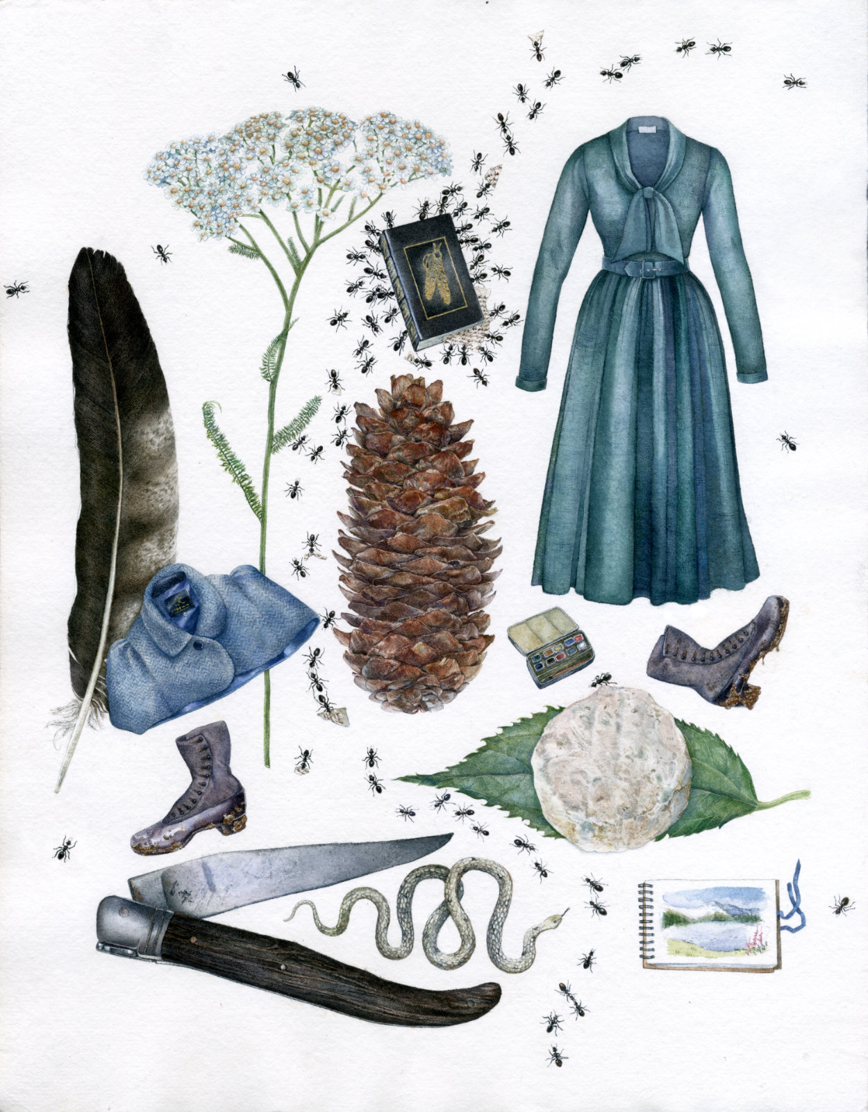 Technical illustration of a so-called herbarium revolving around walks in Nature featuring an array of natural objects such as yarrow, a hawk feather, a snake, ants, mixed with fashionable items of clothing such as a capelette from tailor Stewart Christie, a Lena Hoschek wool dress, antique boots, complete with cultural and gastronomical additions such as a copy of the Last of the Mohicans book and a picnic-worthy goat cheese with knife